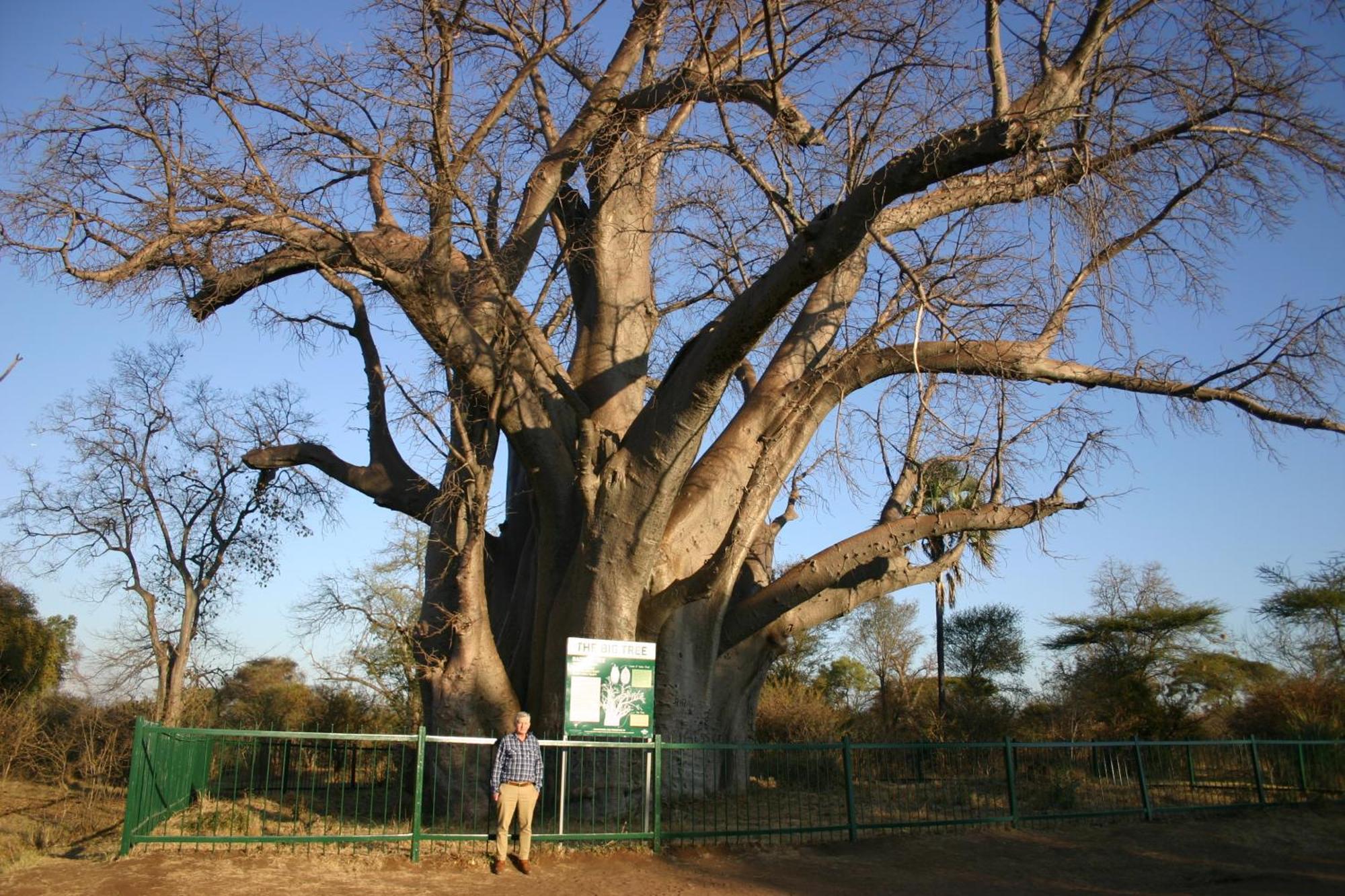 Room In Villa - Zambezi Family Lodge - Elephant Room Victoria Falls Exterior foto